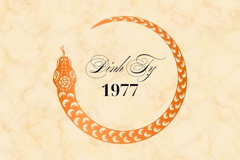 Người tuổi Đinh Tỵ 1977 hợp màu đỏ, cam, tím, hồng đất