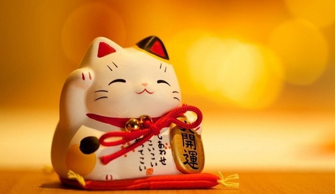 Hình ảnh cây tùng bách vươn mình mạnh mẽ