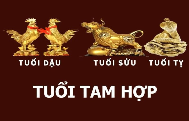 Nhóm tam hợp Tỵ – Dậu – Sửu, sự thông minh và sáng tạo