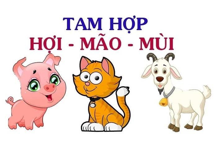 Nhóm tam hợp Hợi – Mão – Mùi, giỏi giao tiếp và ứng xử khôn khéo