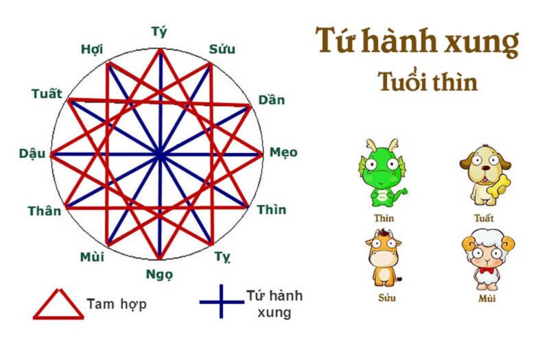 Nhóm tứ hành xung Thìn – Tuất – Sửu – Mùi