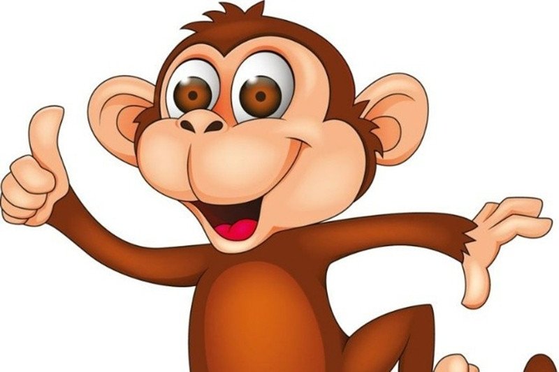 Cung mệnh và hướng nhà phù hợp cho nam tuổi Mậu Thân