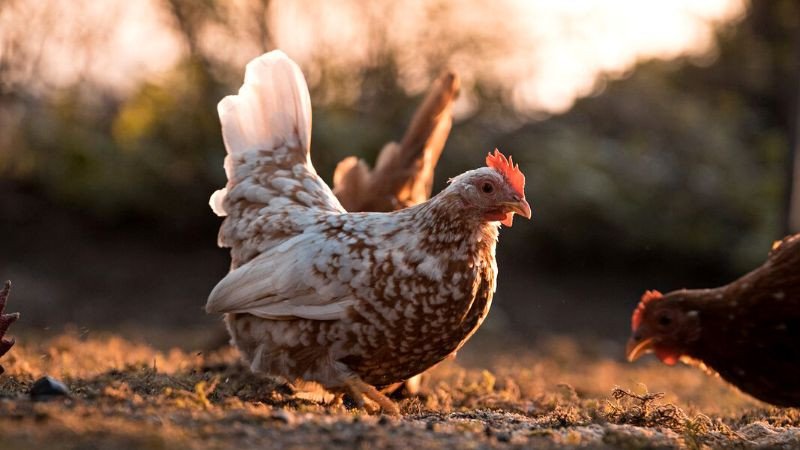 Các gam màu sắc tương sinh, tương khắc với người sinh năm 2005 mệnh Thủy