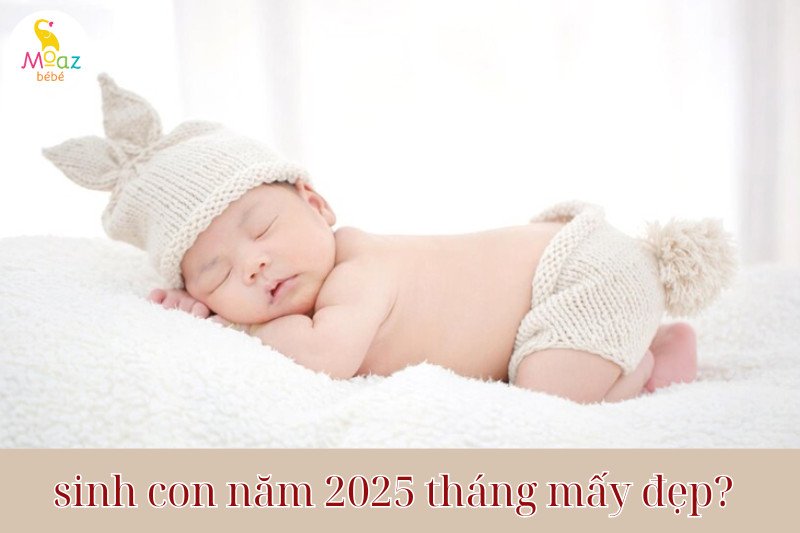 lịch sinh con đẹp cho bố mẹ tuổi kỷ tỵ sinh con tuổi ất tỵ