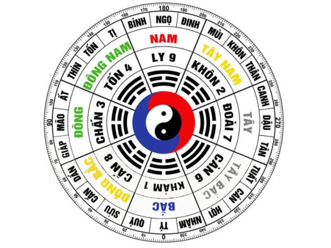 Biểu đồ cung mệnh nam và nữ **Tân Mão 1951** theo phong thủy