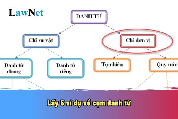 Tổng Hợp Ví Dụ Về Cụm Danh Từ Chi Tiết Nhất