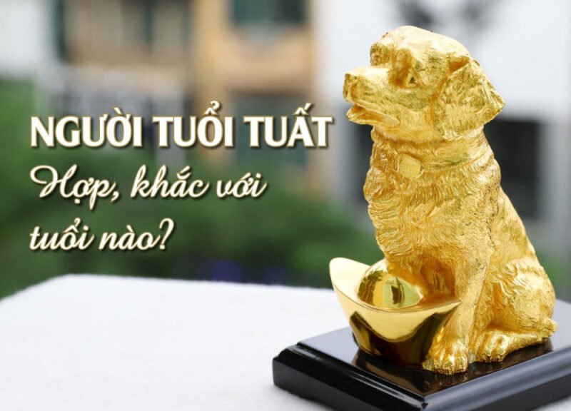 **Tuổi Tuất Hợp Tuổi Nào Để Gặt Hái Thành Công và Hạnh Phúc?**
