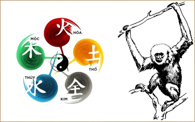 Đánh giá tuổi nam hợp nữ 2004 Giáp Thân dựa theo Ngũ hành, Can Chi và Cung phi