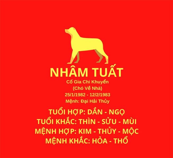 Giải Đáp Chi Tiết: Tuổi Nhâm Tuất Hợp Hướng Nào?