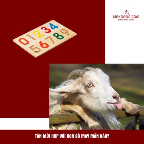 Con số may mắn và tài lộc cho người sinh năm 1931