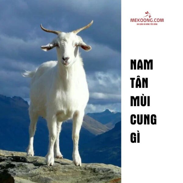 Cung Ly thuộc hành Hỏa của nam giới Tân Mùi 1931