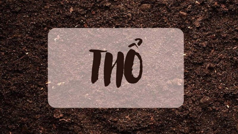 Sinh Năm 1977 Là Tuổi Con Gì Và Những Điều Cần Biết