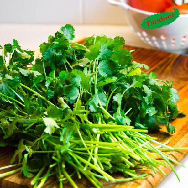 Cilantro tươi ngon, gia vị có nguồn gốc từ lá không thể thiếu trong nhiều món ăn