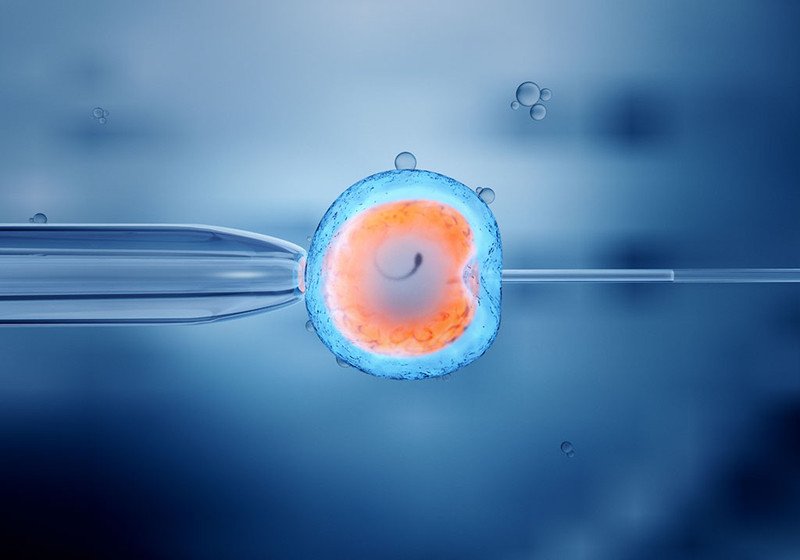 IVF giúp chọn giới tính thai nhi