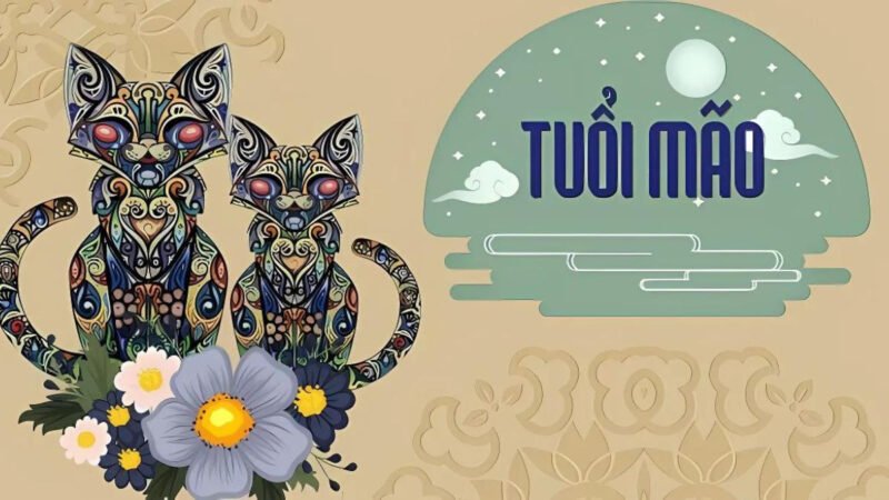 Người sinh năm 1975 cung Cấn (nữ) và Đoài (nam) mang những đặc điểm riêng biệt