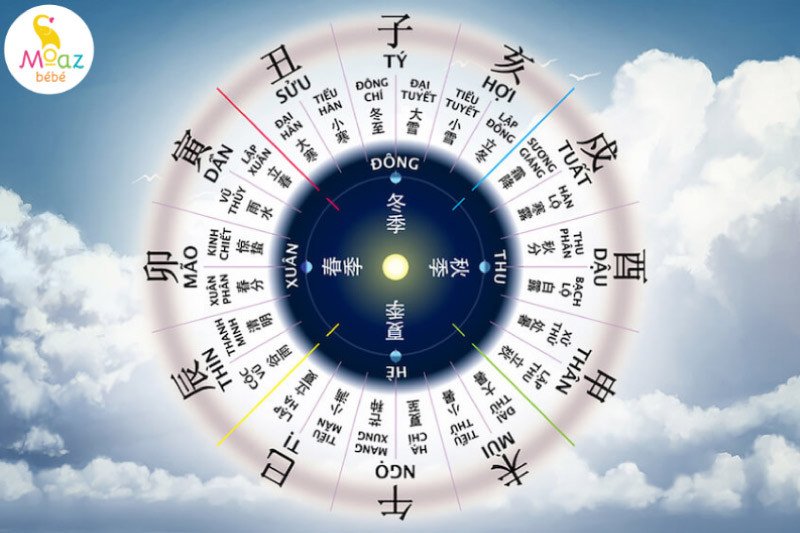 Xét về địa chi của tuổi Giáp Tuất 1994 và Ất Tỵ 2025