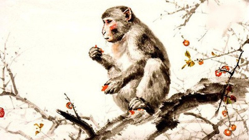 Lựa chọn hướng nhà và cách bố trí vật phẩm hợp phong thủy cho con khỉ là tuổi gì