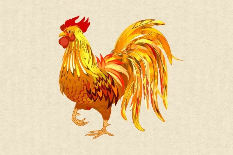 Người sinh năm 1981 tuổi Tân Dậu