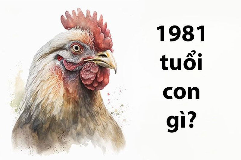 Biểu tượng con gà trống - con giáp của người sinh năm 1981