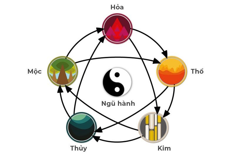 Sinh Năm 1981 Là Tuổi Con Gì? Giải Mã Chi Tiết Vận Mệnh