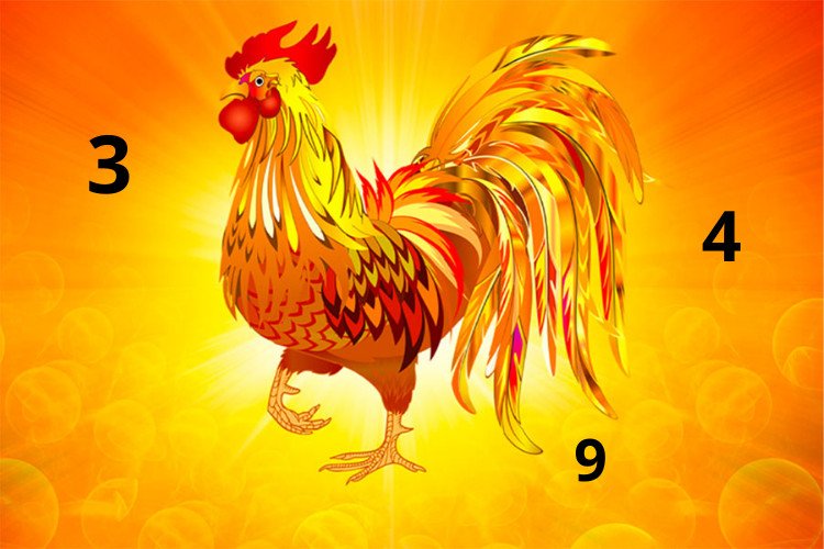 Những con số may mắn cho người sinh năm 2017 tuổi Đinh Dậu