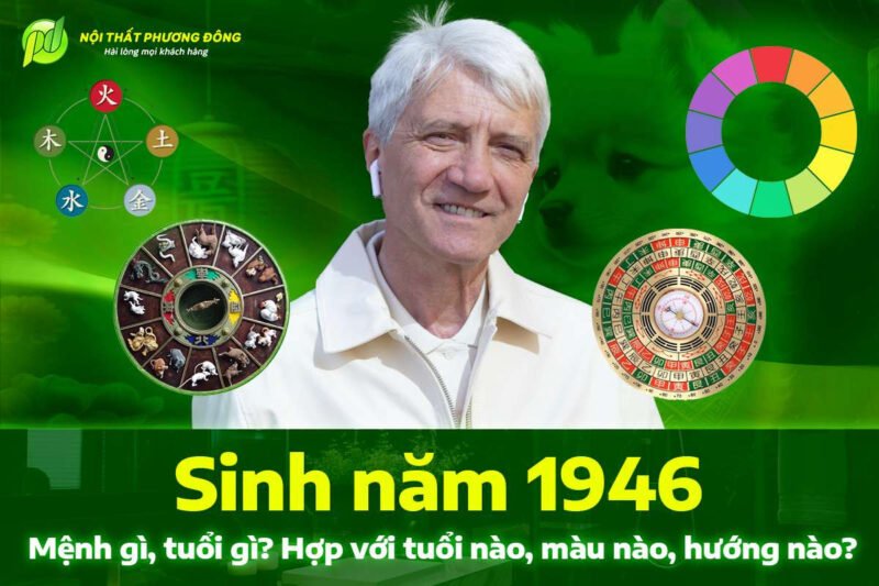 Giải Đáp: Sinh Năm 1946 Là Tuổi Con Gì Và Mệnh Gì Chuẩn Xác?