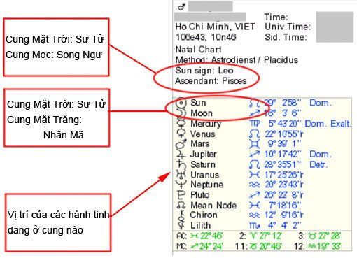 Phần thông tin cá nhân trong biểu đồ sao, giúp xác định các cung chính và yếu tố Venus.