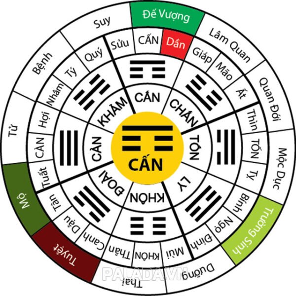Hình ảnh biểu đồ Bát Quái trong phong thủy tử vi, minh họa khái niệm bá hộ trong tử vi