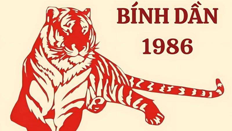 Người sinh năm 1986 thuộc mệnh Hỏa Lư Trung Hỏa