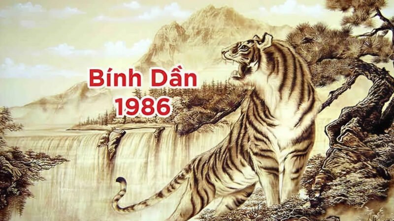 Tuổi 1986 hợp với các tuổi Đinh Mão và Canh Ngọ
