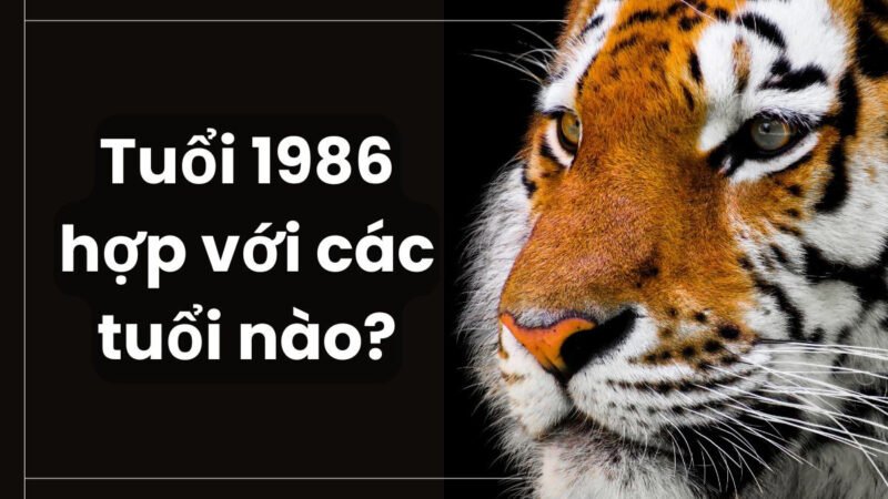 Các hướng hợp và kỵ với người sinh năm Bính Dần 1986