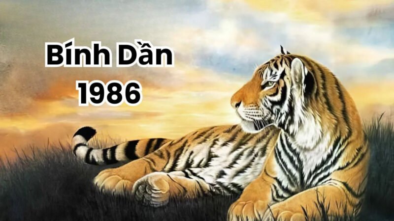 Tính cách người nam sinh năm 1986