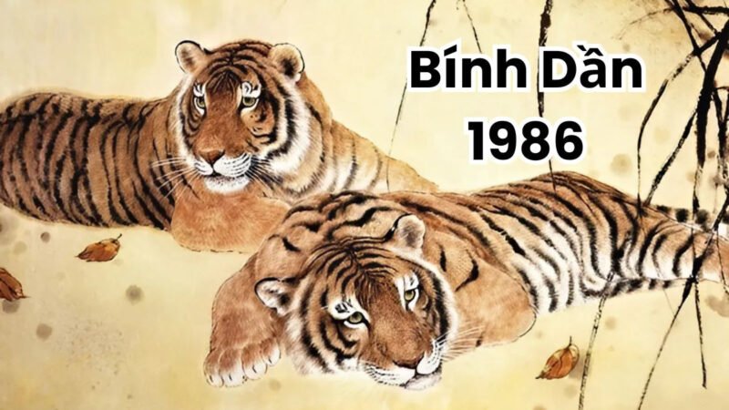 Tính cách người nữ sinh năm 1986