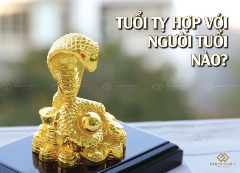 Tuổi Tỵ Hợp Với Tuổi Nào Trong Hôn Nhân Để Bền Vững?