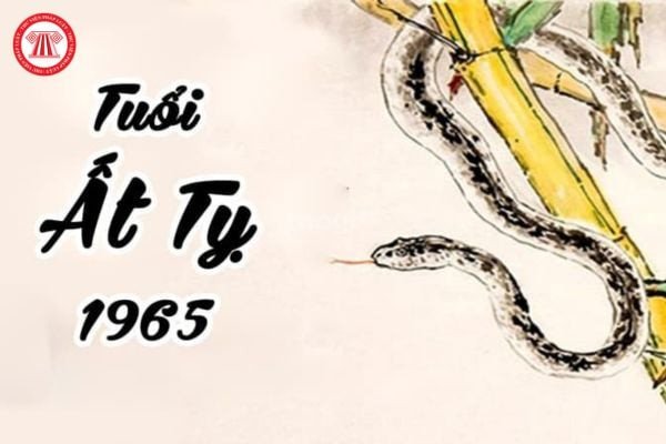 Ất Tỵ Hợp Tuổi Gì? Giải Mã Vận Mệnh Và Con Đường Phát Triển