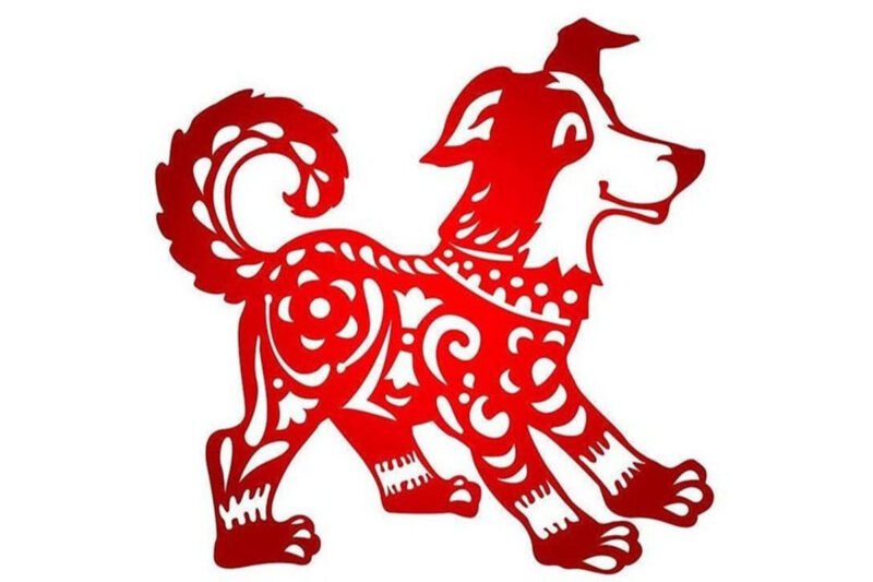 Người tuổi chó mệnh Kim chọn màu sắc tương sinh để thu hút tài lộc