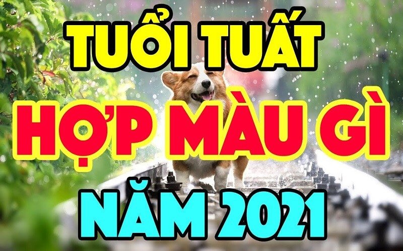 Màu sắc hợp phong thủy giúp người tuổi Nhâm Tuất mệnh Thủy gặp nhiều may mắn