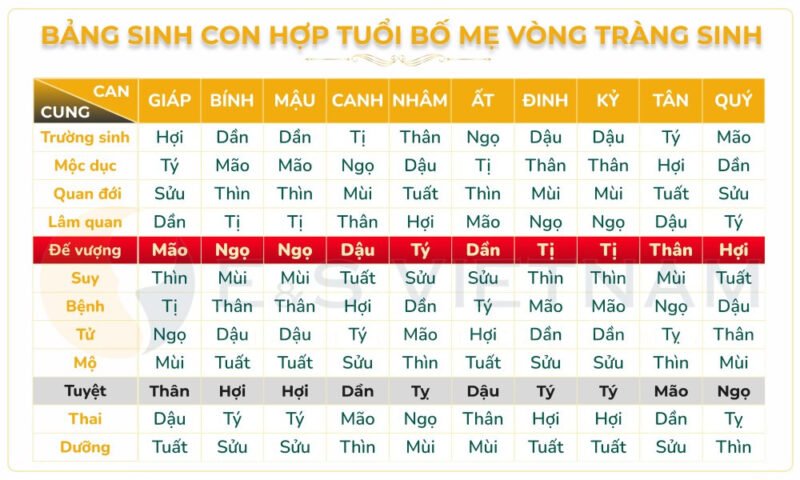 Bảng xem tuổi sinh con quan trọng nhất là gì theo vòng tràng sinh