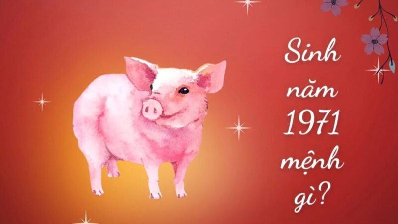 Tìm hiểu năm 1971 tuổi con gì và vận mệnh theo phong thủy