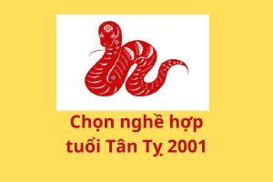 Nghề nghiệp phù hợp với Tân Tỵ 2001