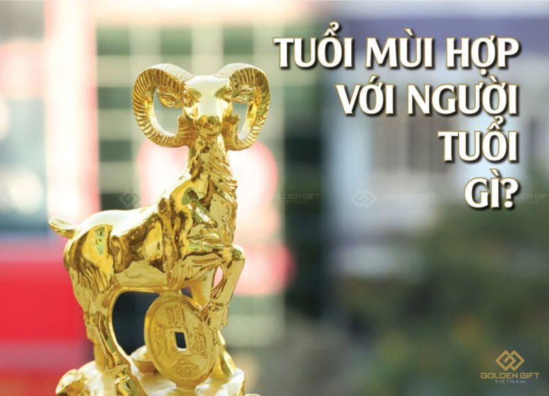 **Tuổi Mùi Hợp Tuổi Nào: Cẩm Nang Chi Tiết Về Sự Hòa Hợp Cung Mệnh**