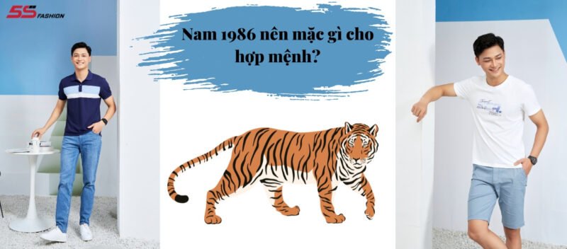 Tuổi Dần 1986 Hợp Màu Gì Để Thu Hút Vượng Khí