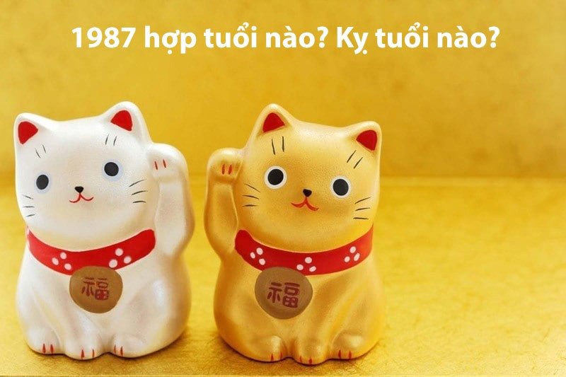 Sự kết hợp tuổi tác trong làm ăn và hôn nhân của 1987