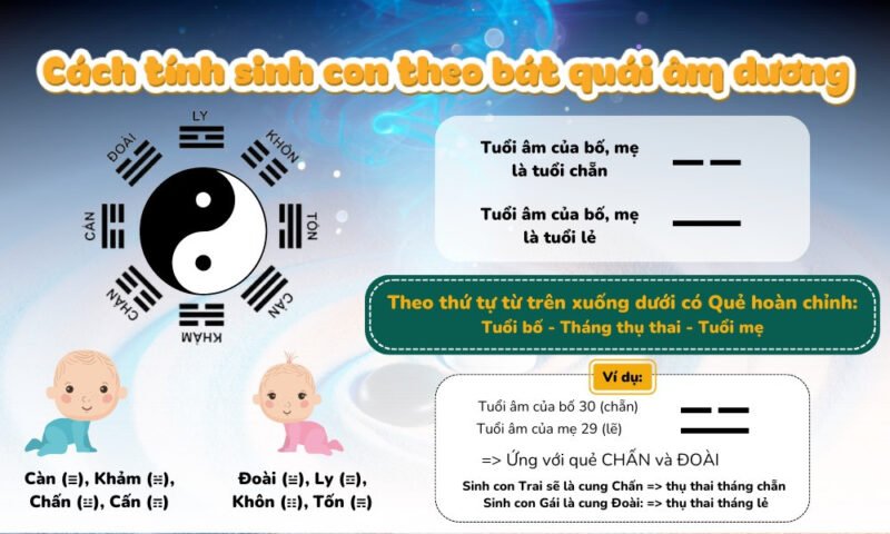 Sơ đồ bát quái âm dương hỗ trợ dự đoán giới tính thai nhi dựa trên tuổi bố mẹ