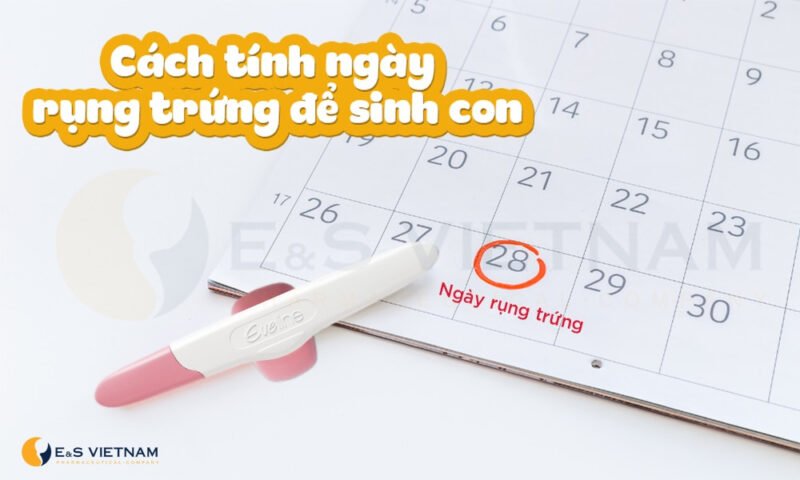 Biểu đồ chu kỳ rụng trứng giúp các cặp đôi sinh con trai hay gái theo ý muốn
