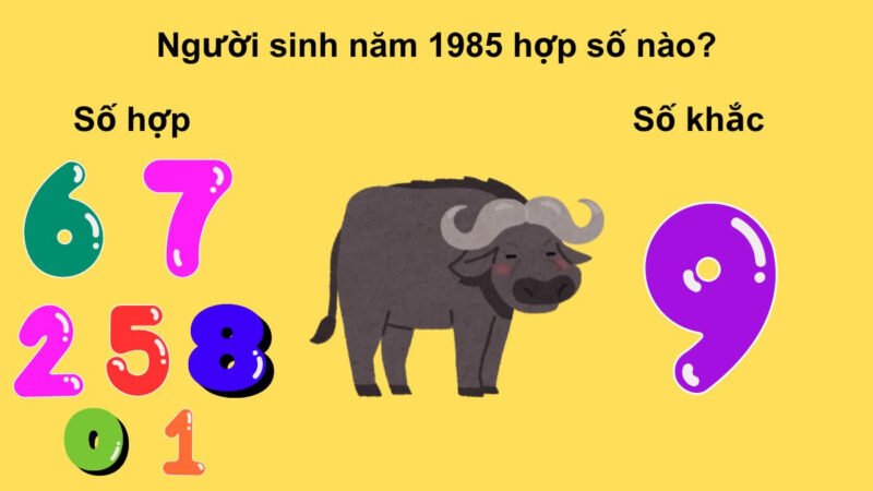 Con số may mắn cho nữ 1985