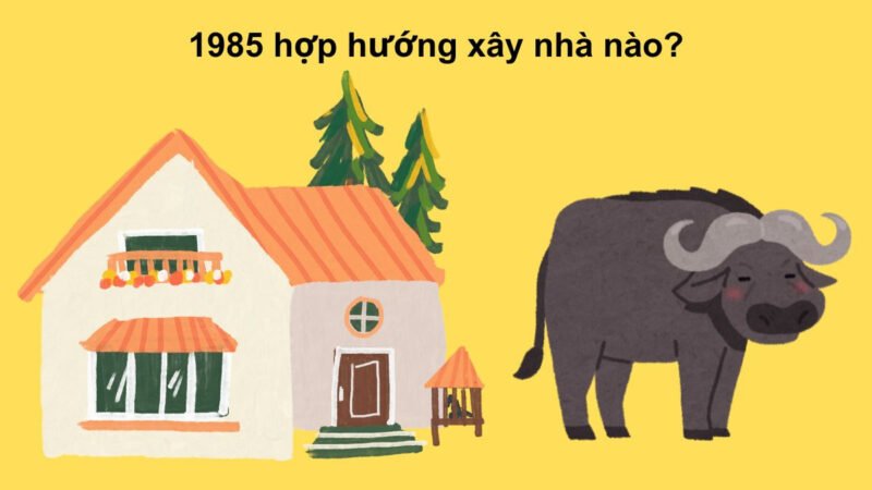 Hướng nhà hợp nữ 1985