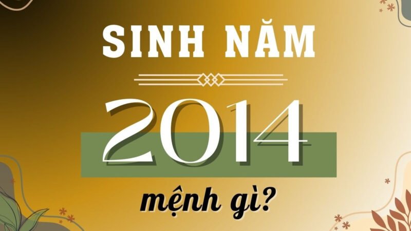 Giải đáp: Sinh năm 2014 tuổi con gì?