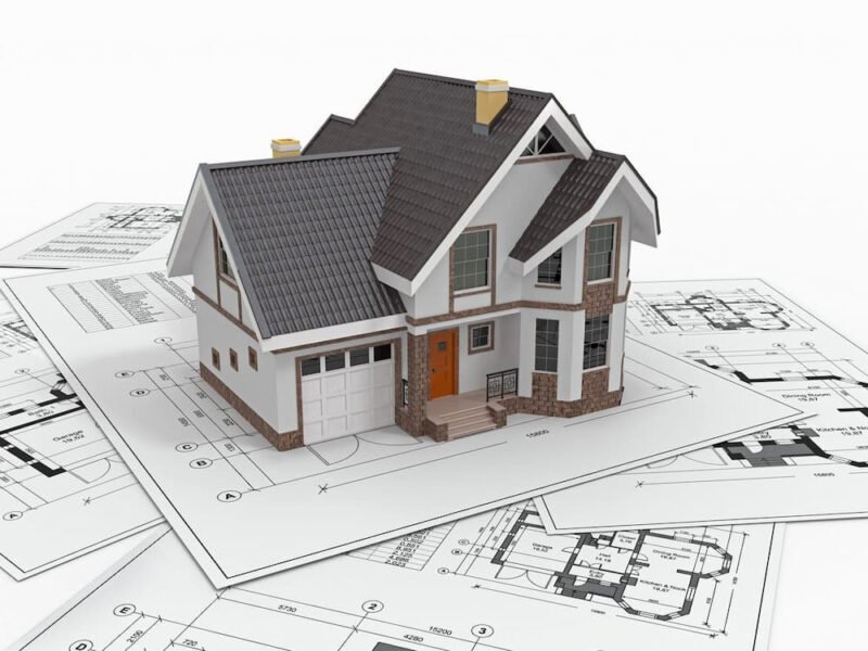 Nữ Tuổi Mão 1987 Hợp Hướng Nào Để Đại Cát Đại Lợi