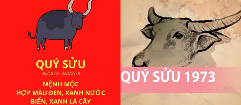 Quý Sửu sinh năm 1973 thuộc mệnh Mộc